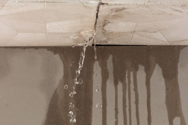 Professional Burst Pipe Cleanup technician working in Vincent, IA